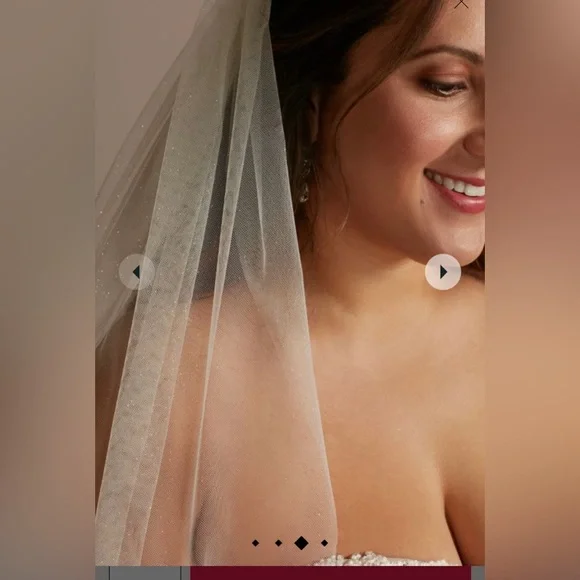 *SOLD* David’s Bridal Galina Signature Wedding Gown NWT - Picture 11 of 12